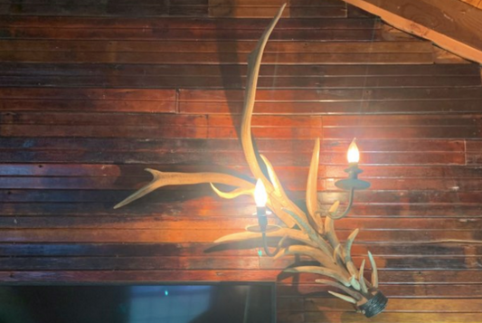 Deer Antler Wall Sconce Chandelier Pendant Light