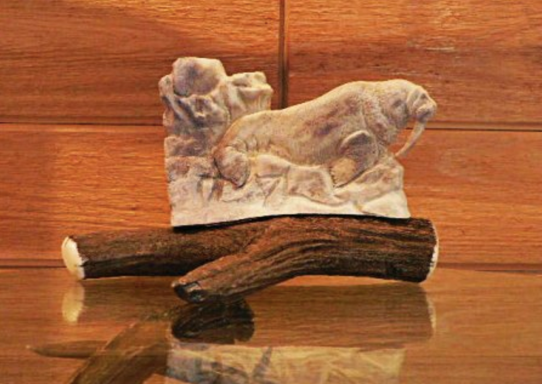 Walrus Antler Carving