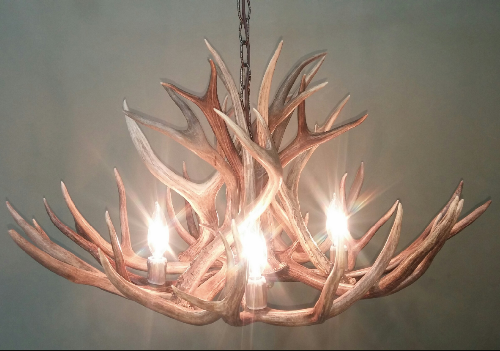 Colorado Deer Antler Chandelier, 28" W x 15" T, 4 Lights