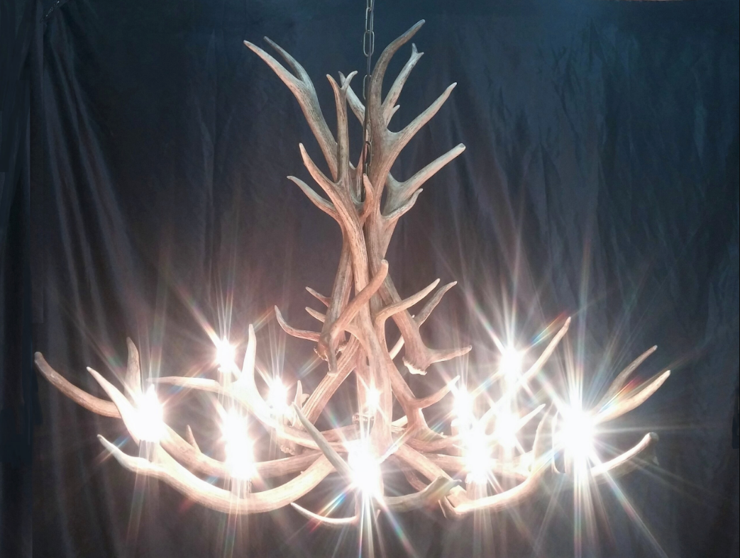 Arizona Elk Antler Chandelier, 12 Lights
