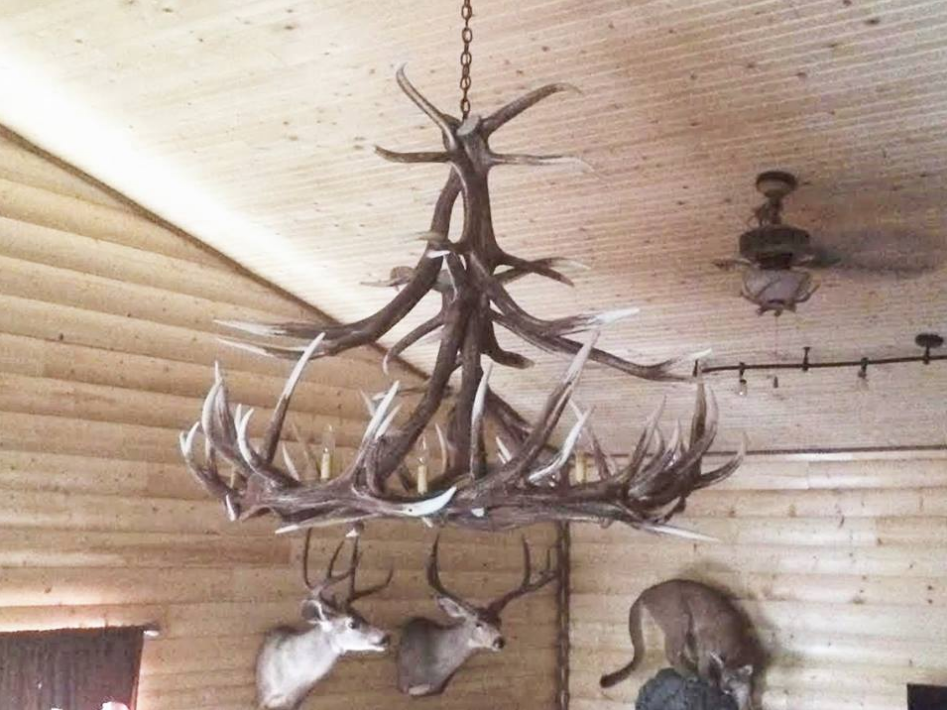 Challis Faux Elk Antler Chandelier, 60"W x 48"T