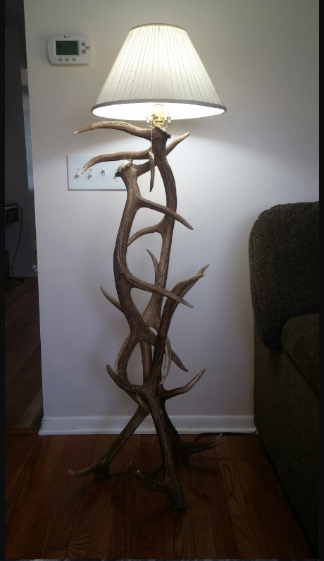 Elk Antler Floor Lamp, 50"Tall by 22" Wide
