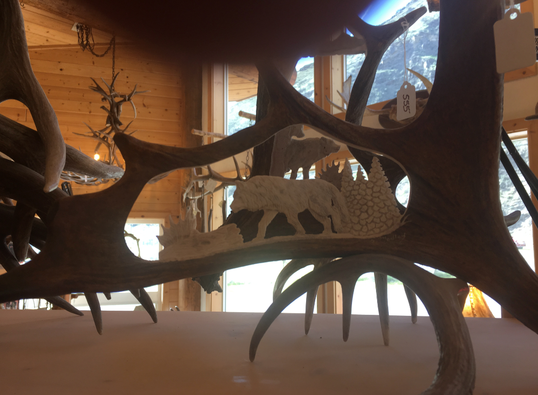 Solitary Wolf Antler Carving