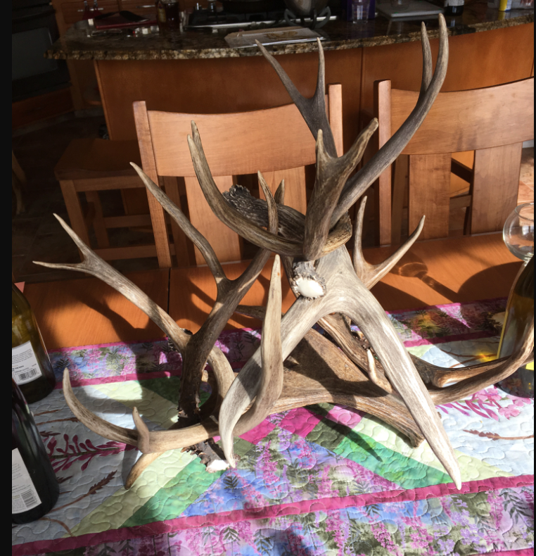 Antler Wine Rack, 3 Bottle