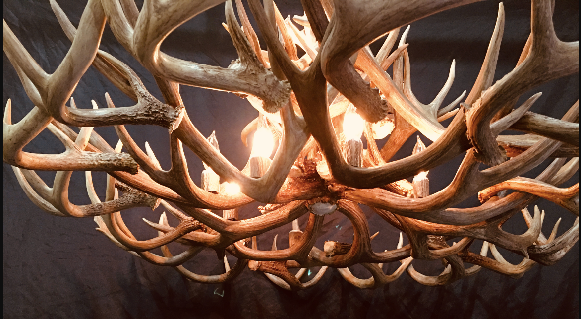 Gold Canyon Deer Antler Chandeliers