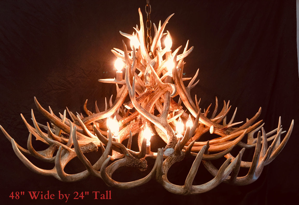 Gold Canyon Deer Antler Chandeliers