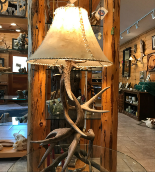 Antler Table Lamp