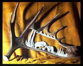 Fighting Brown Bears Antler Carving