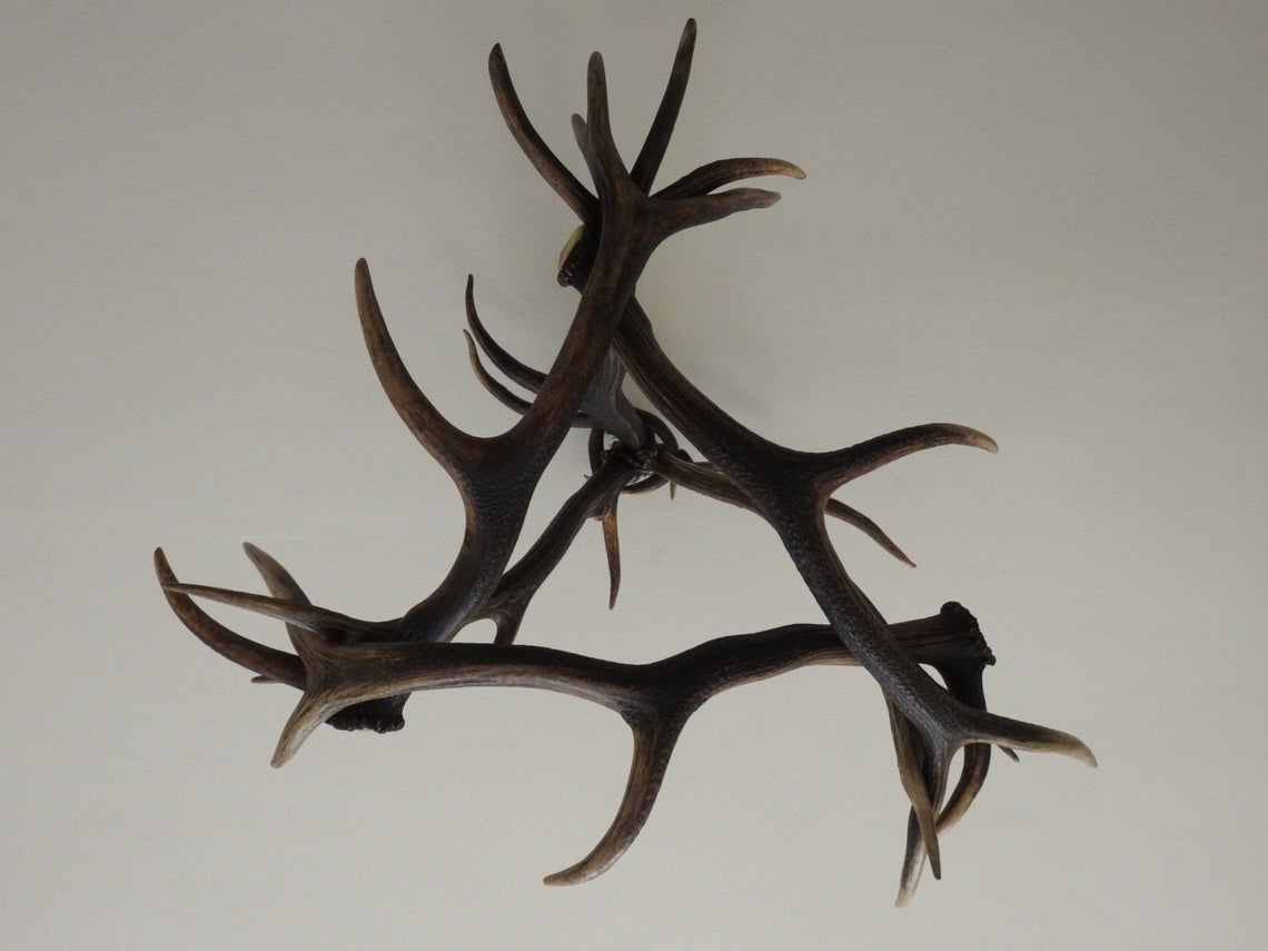 Boar's Head Elk Antler Chandelier, 3 Lights