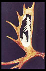 Wolf Midnights Voice Moose Antler Carving