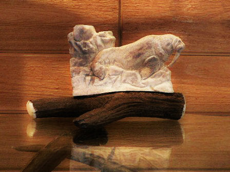 Walrus Antler Carving