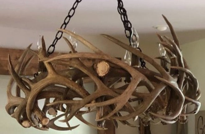 Crown of Thorns Deer Antler Chandelier