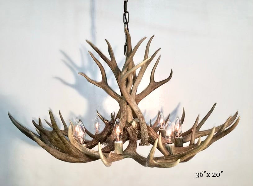 Whitefish Deer Antler Chandelier