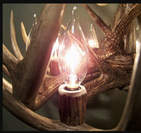 Boar's Head Elk Antler Chandelier, 3 Lights