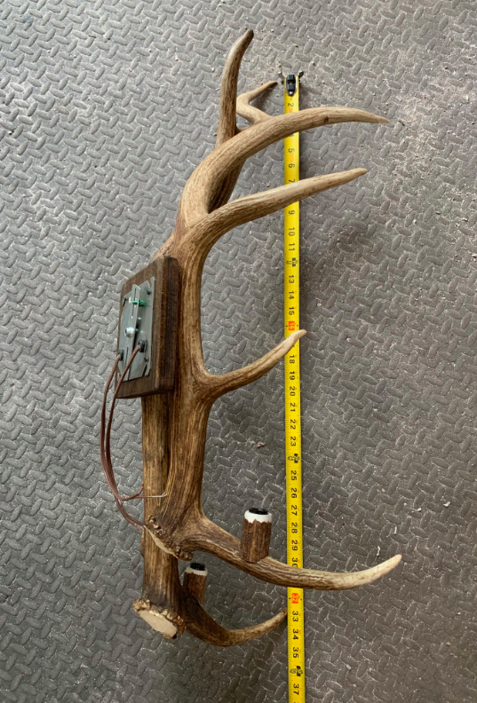 Real Elk Antler Wall Sconce