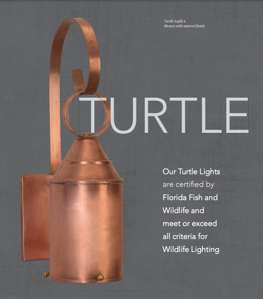 Copper Turtle Lights