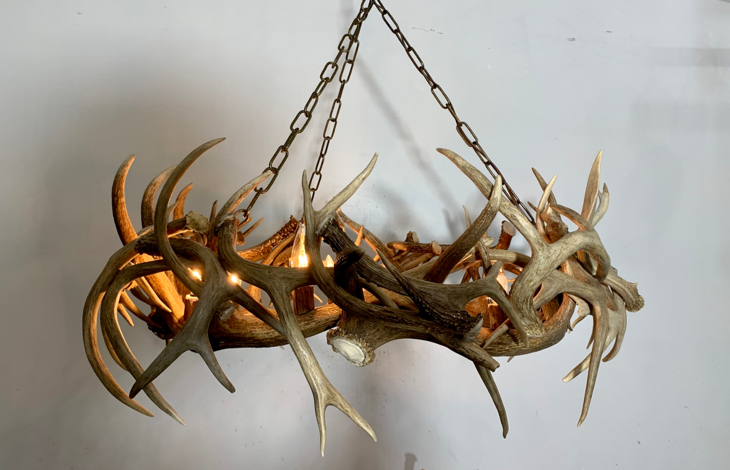 Natural Color Antlers