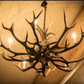 Arizona Elk Antler Chandelier, 12 Lights