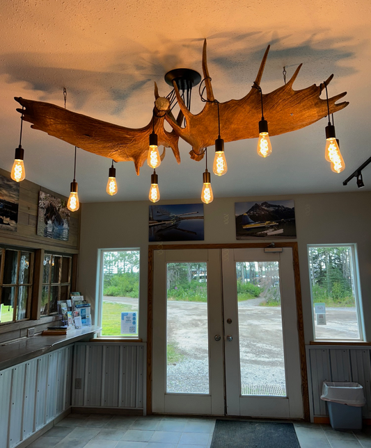 Glacier Bay Moose Antler Chandelier, 10 Lights