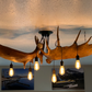 Glacier Bay Moose Antler Chandelier, 10 Lights