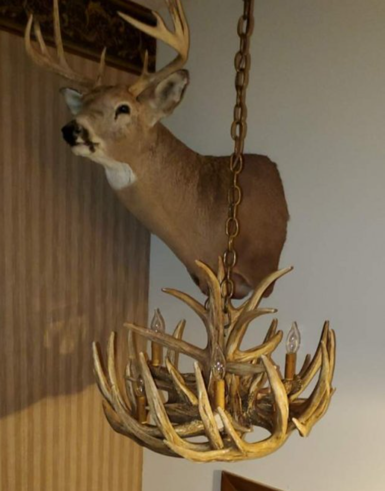 Babcock Faux Deer Antler Chandelier 24"W 16"T