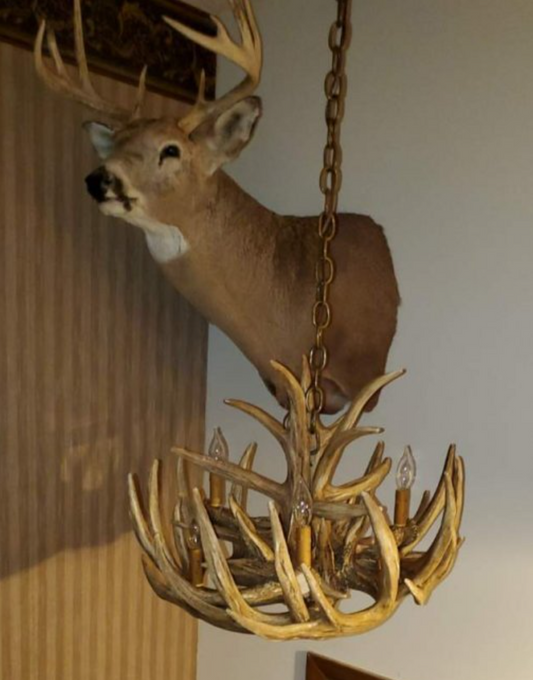 Babcock Faux Deer Antler Chandelier 24"W 16"T