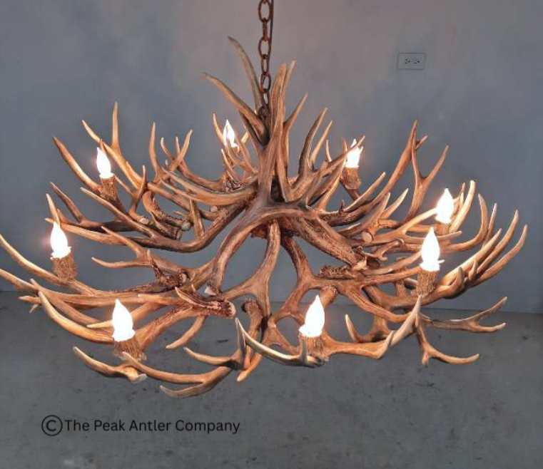 Medium Deer Antler Chandelier