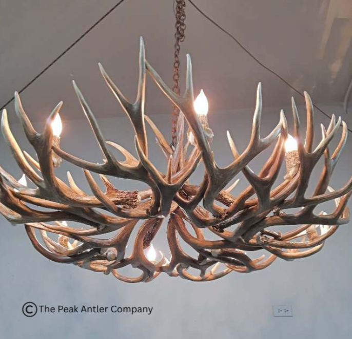 Medium Deer Antler Chandelier