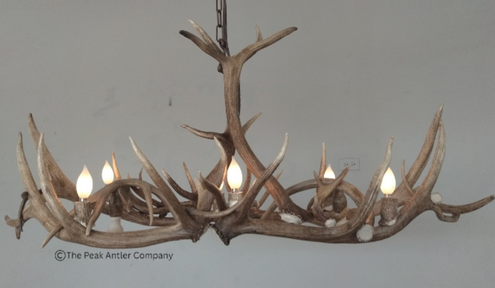 Small Elk Antler Chandelier