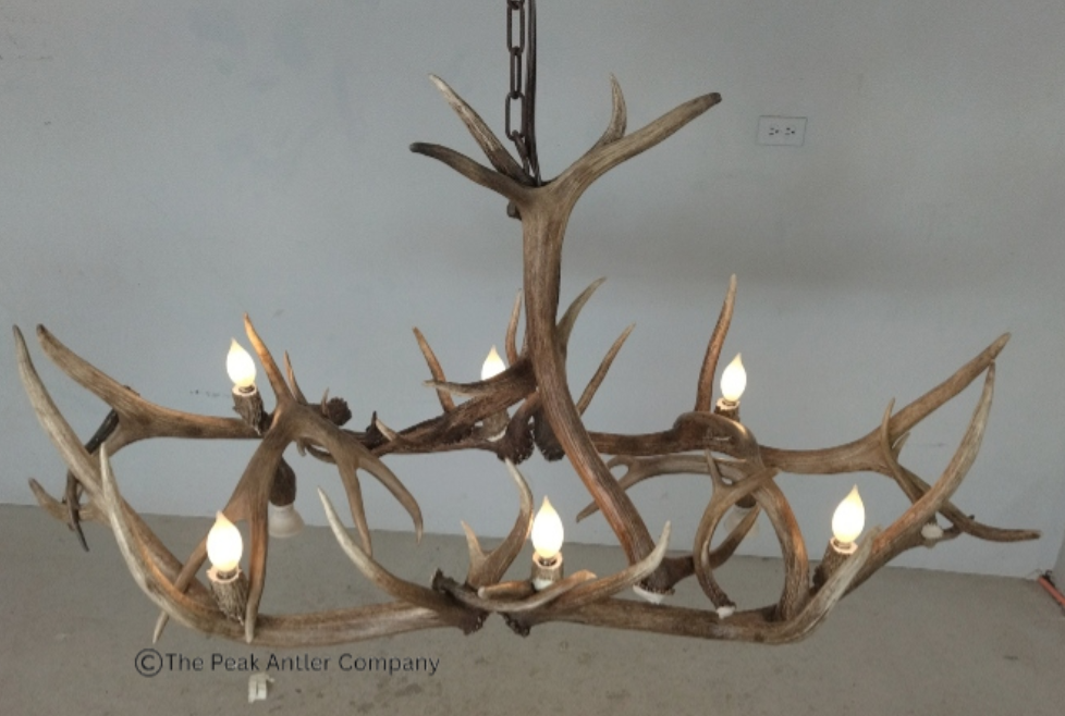 Small Elk Antler Chandelier