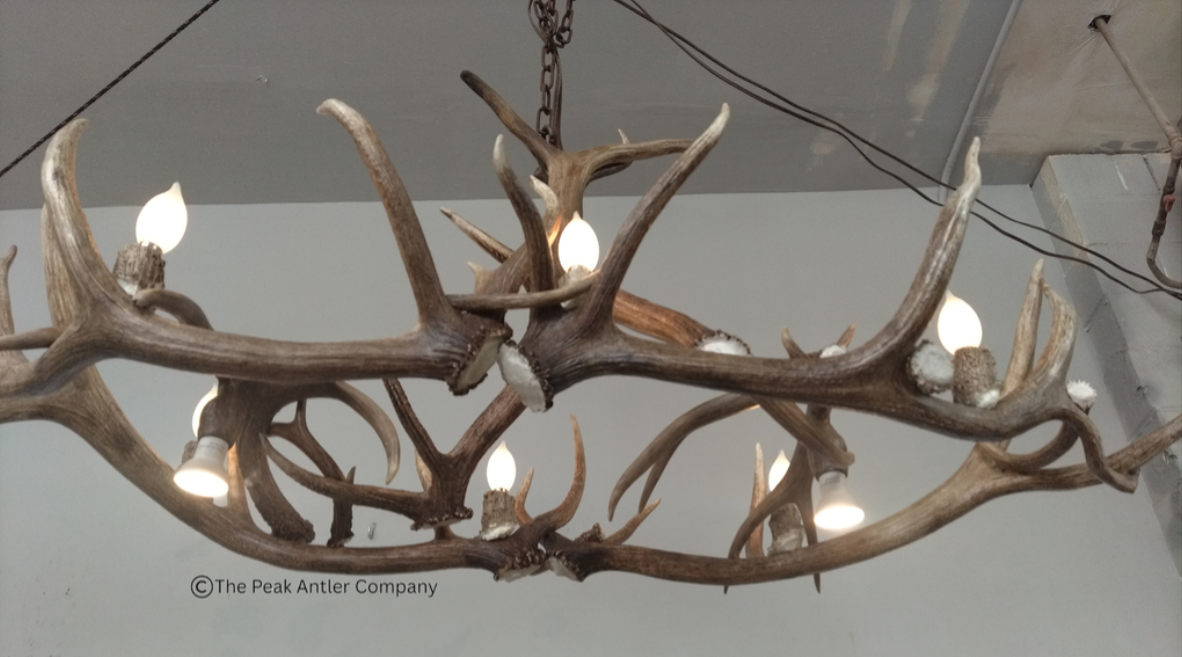 Small Elk Antler Chandelier