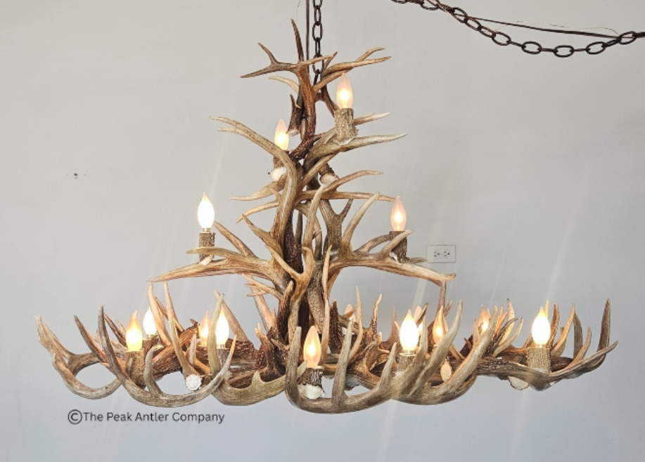 XL Deer Antler Chandelier