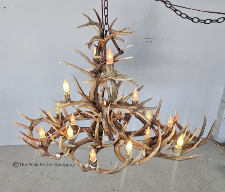XL Deer Antler Chandelier
