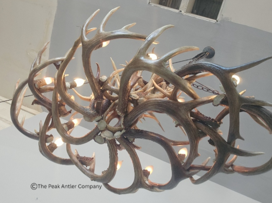 XL Deer Antler Chandelier