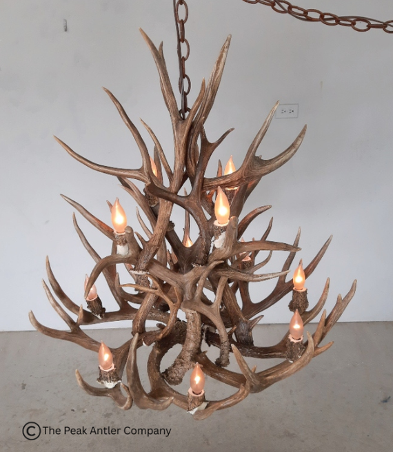S- Deer Antler Chandelier
