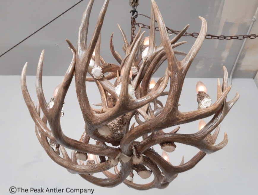 S- Deer Antler Chandelier