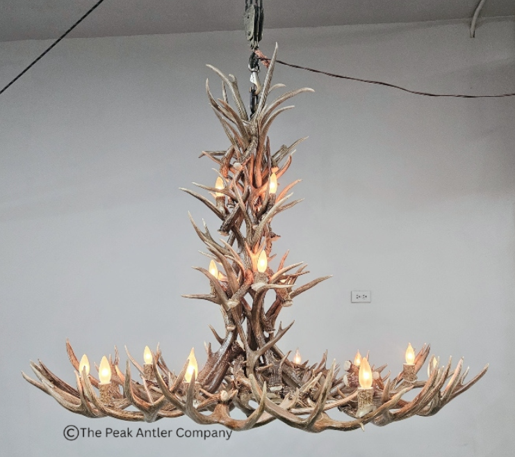 538 -L deer antler chandelier