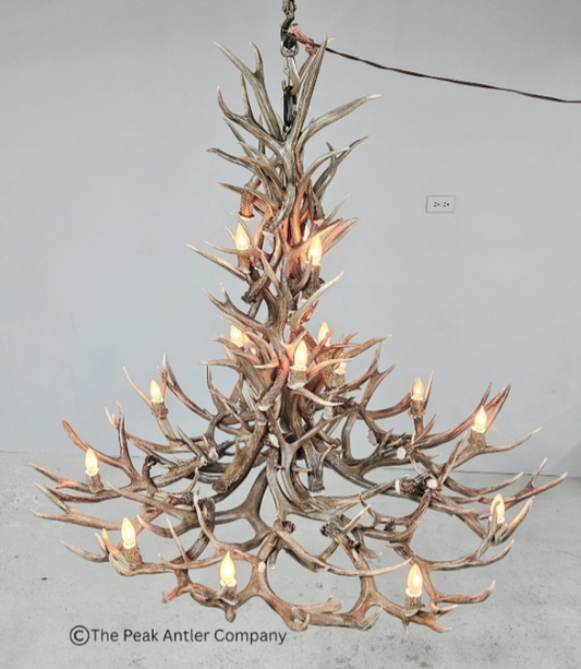 538 -L deer antler chandelier