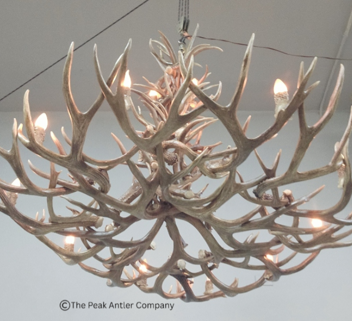 538 -L deer antler chandelier