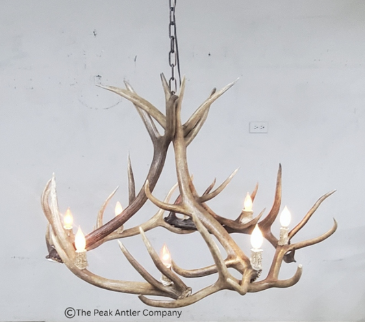 551-S - Elk Antler Chandelier
