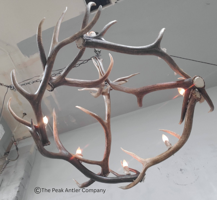 551-S - Elk Antler Chandelier