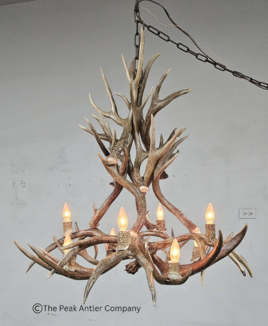 Medium Deer Antler Chandelier