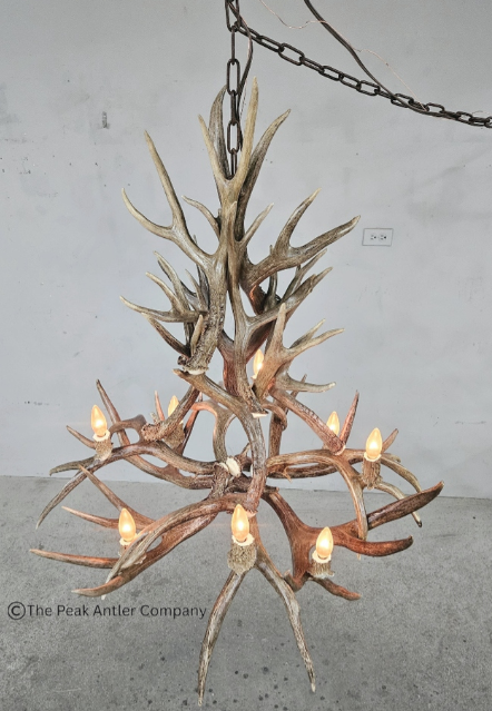 Medium Deer Antler Chandelier