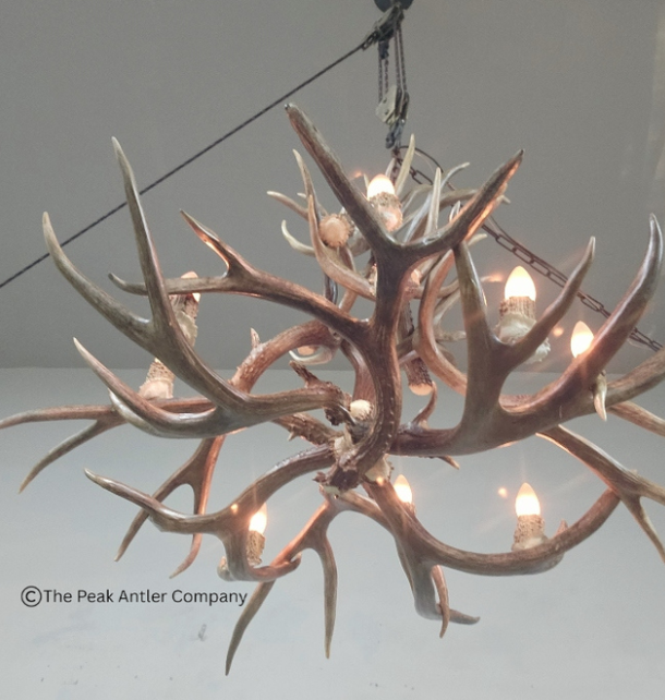 Medium Deer Antler Chandelier