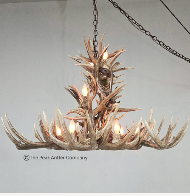 Small Deer Antler Chandelier
