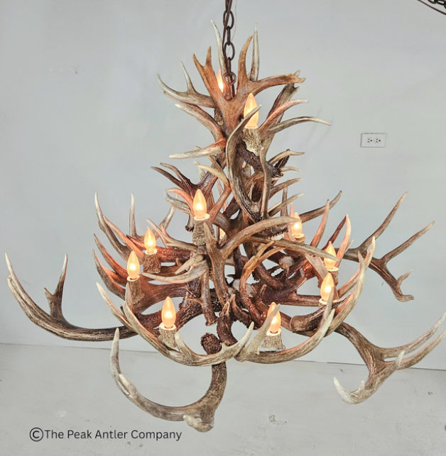 Small Deer Antler Chandelier