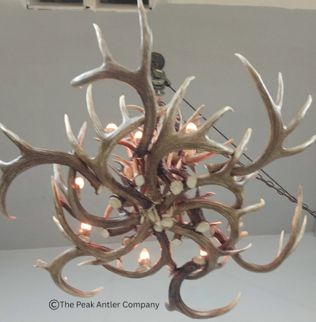 Small Deer Antler Chandelier
