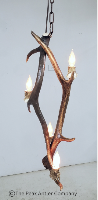 Antler chandelier with four lights on a plain background