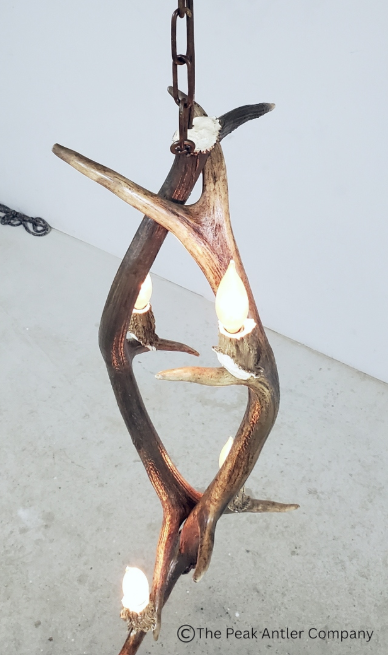 Antler chandelier with chain on a light gray background, branded 'The Peak Antler Company'.
