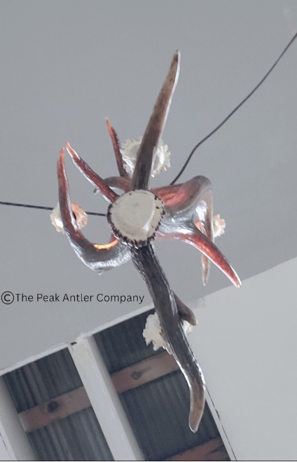 Decorative antler chandelier with a blurred background